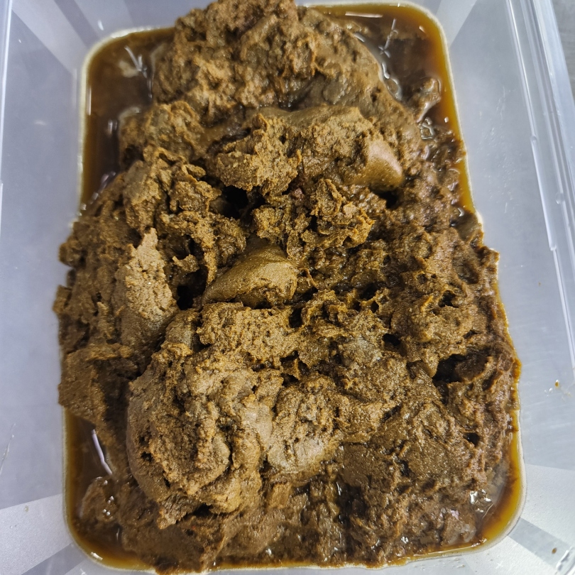 613d9c2035f4a2f51fe44f88548ba8dd_1762408