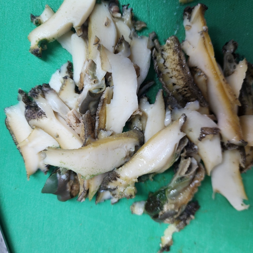 784edcc782536fd0cf2376ab76b4651a_1762413