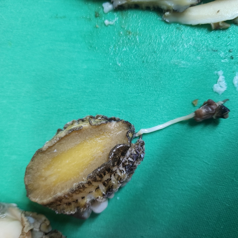 784edcc782536fd0cf2376ab76b4651a_1762413