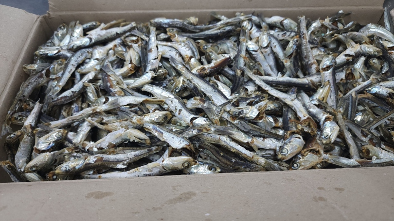 1dea9e7f6cec8c33845d65d5caebc9c5_1764648