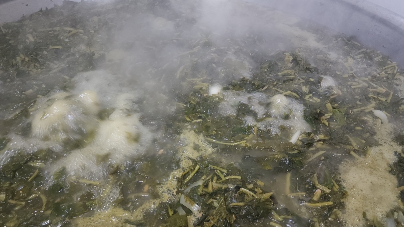 1dea9e7f6cec8c33845d65d5caebc9c5_1764650