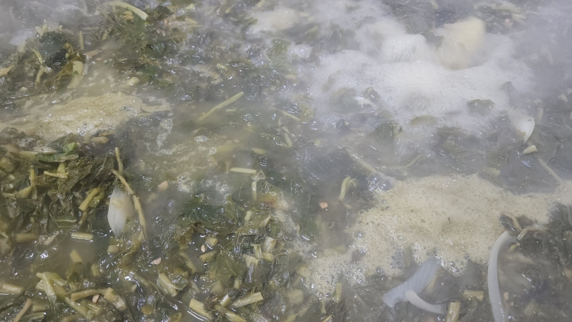 1dea9e7f6cec8c33845d65d5caebc9c5_1764650