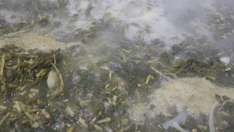 1dea9e7f6cec8c33845d65d5caebc9c5_1764650