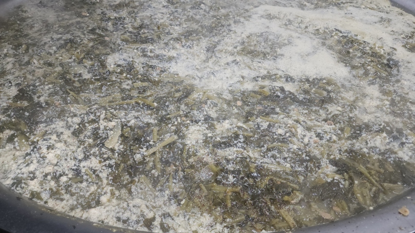 1dea9e7f6cec8c33845d65d5caebc9c5_1764650