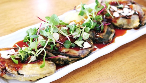 57d86349cbf5a1cd81e8f3504b18d43f_1766502