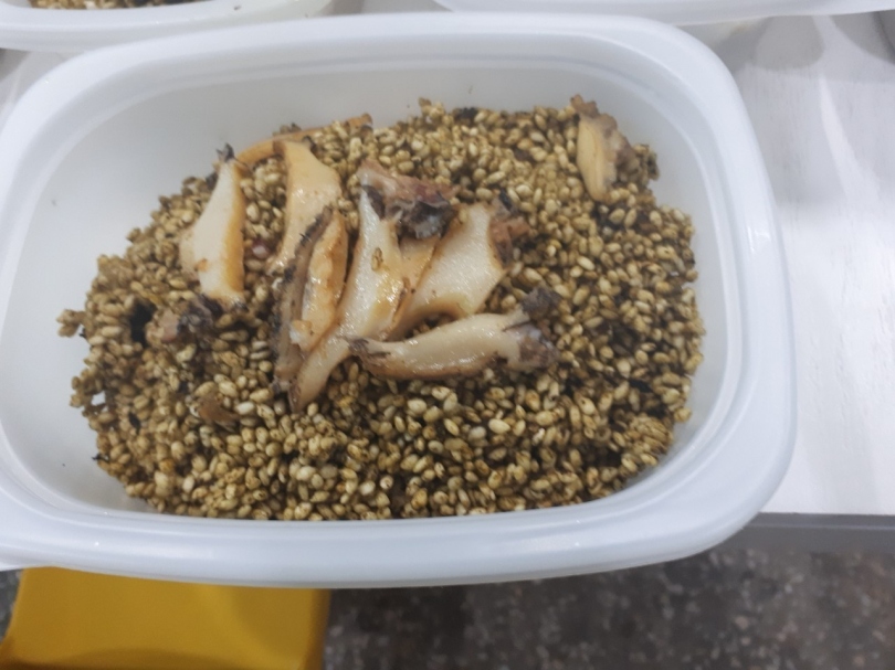 96dd4d2bff6080ed63858e7728fc007f_1764831