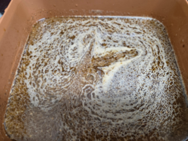 a2977ba1fef2400cd723d340c621c51d_1765935