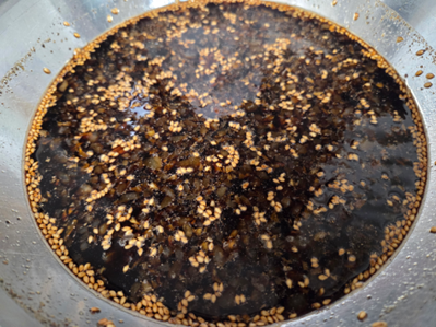 151b667e22992a1eb909cc5619bb92da_1768798