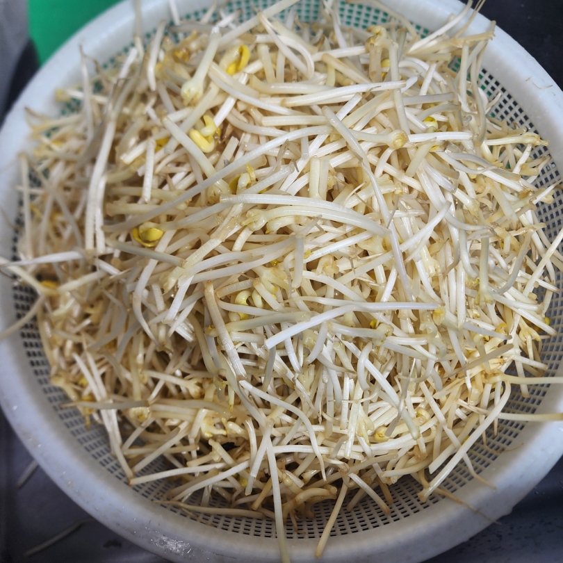 238cf3853e8907926102bc99a91d2297_1768806