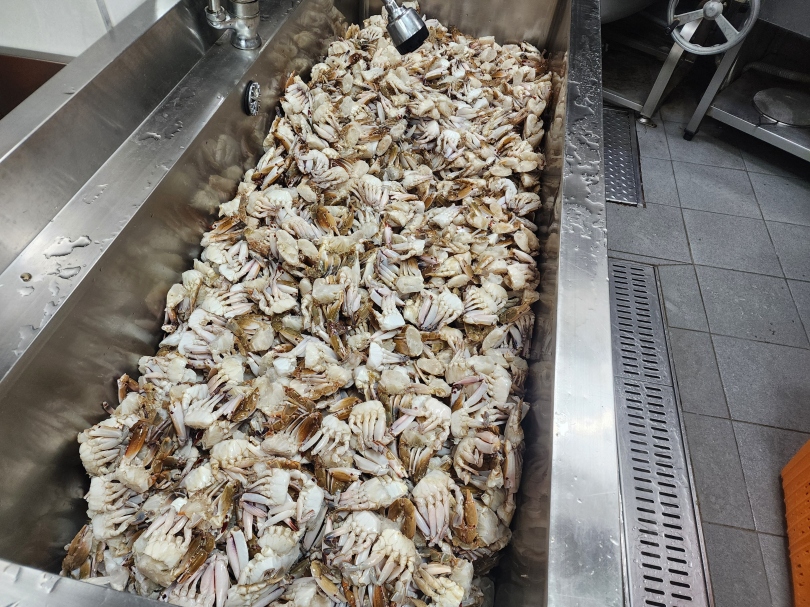 953ce33ea233db4cc415a9ed6d62a57f_1768223