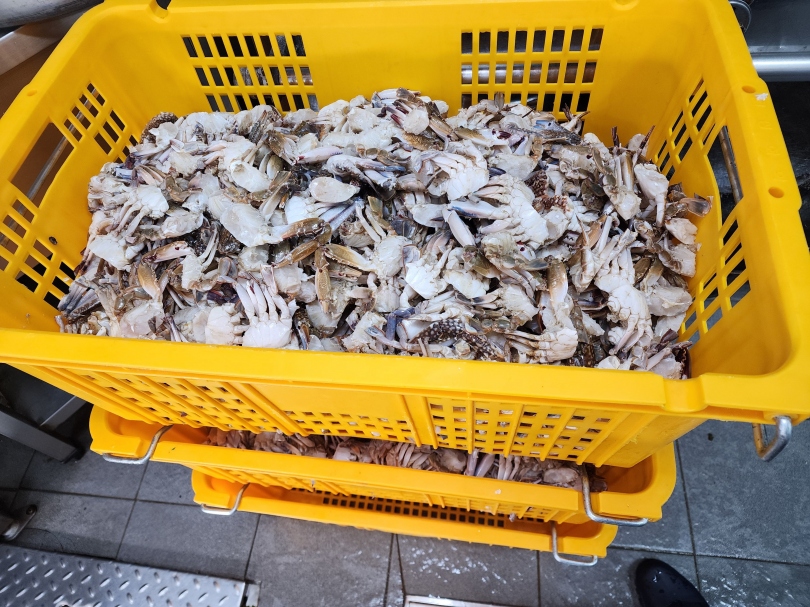 953ce33ea233db4cc415a9ed6d62a57f_1768223