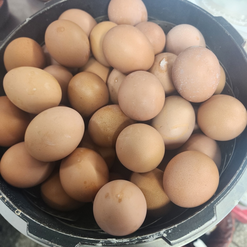 2a849c8dee5cf5b5bba5aa4ac3422189_1771310189_1534.jpg 2a849c8dee5cf5b5bba5aa4ac3422189_1771310