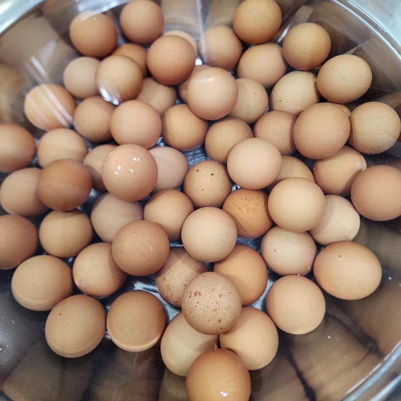 2a849c8dee5cf5b5bba5aa4ac3422189_1771310190_9619.jpg 2a849c8dee5cf5b5bba5aa4ac3422189_1771310